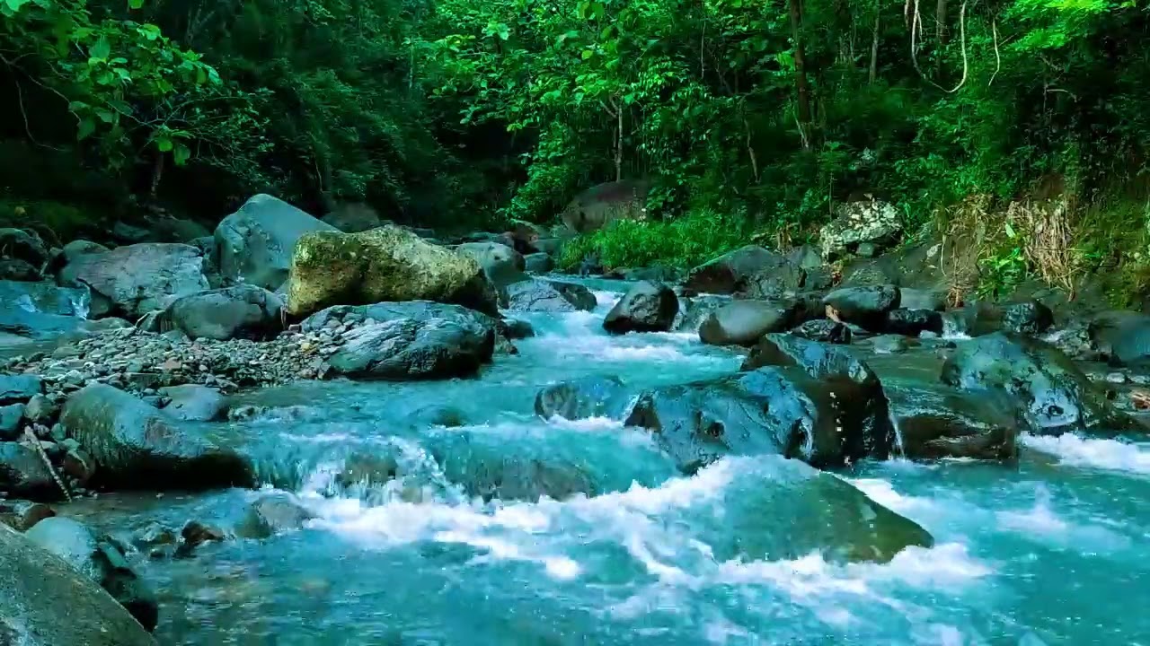 Relaxing Nature Sounds for Deep Sleep, Stream Sounds, Forest Sounds