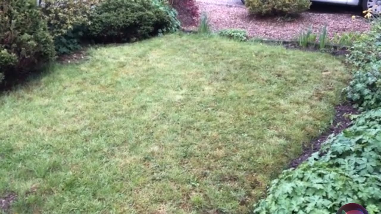 Adding Iron to Grass, Rusty Lawn or Dead Moss !
