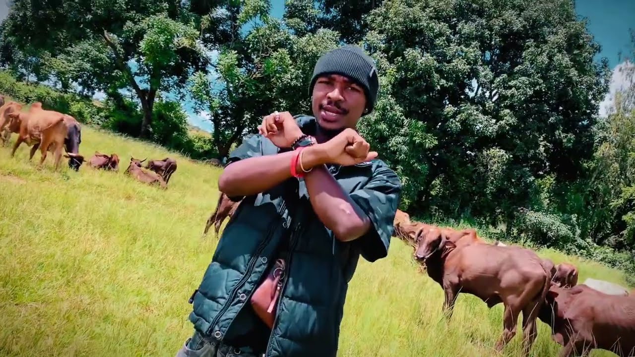 Nkhondo joe sings odinga (mwala okanidwa EP)  Dir holyhice