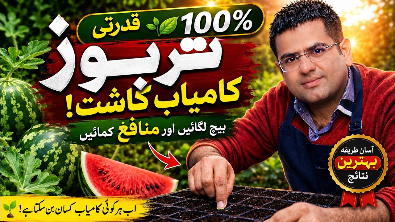 How to Grow Long Watermelon from Seeds | Best Soil Mix for Fast Germination 🍉