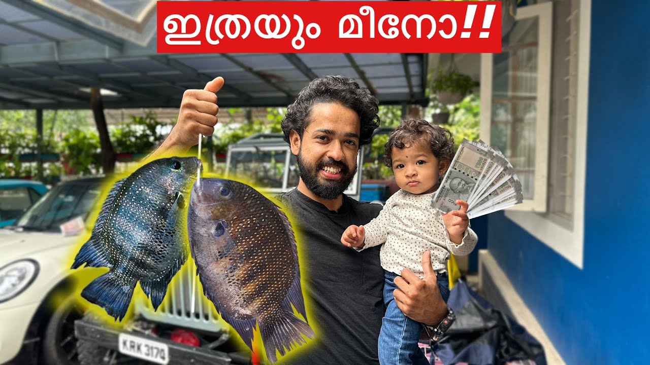 ആഹാ... ഇവിടെ നിറയെ മീനാ.. 😍 | Family fishing competition