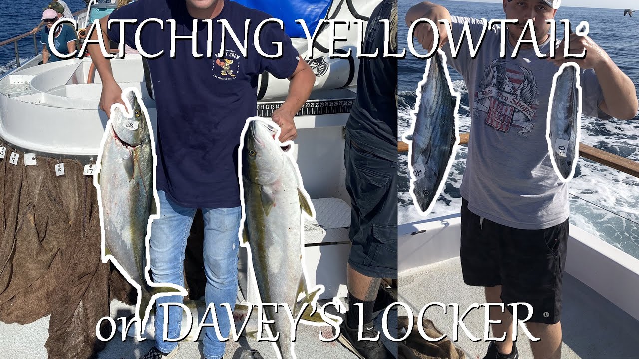 DAVEY'S LOCKER 3/4 DAY FISHING (20 LB+ YELLOWTAIL)!!!