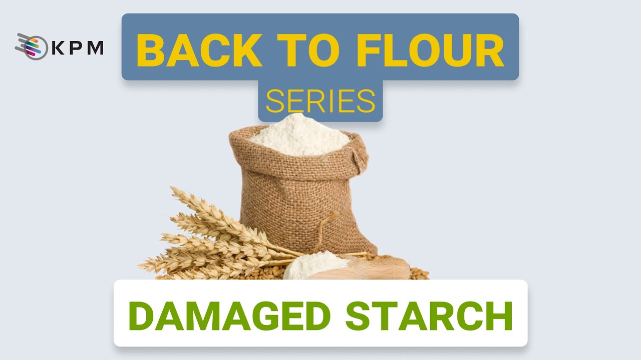 Back to Flour Series &ndash; Damaged Starch impact