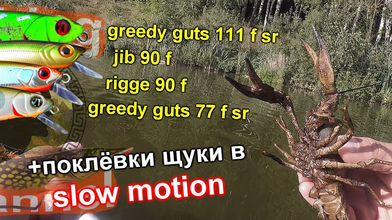твичинг щука воблер greedy guts 111 f sr, rigge 90 f, greedy guts 77 f sr и jib 90 f 20.08.2017 г.