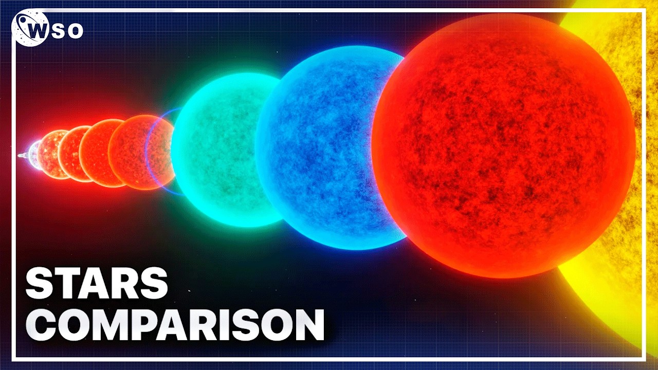 Detailed STAR Size Comparison - 2025