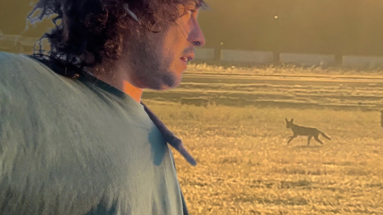 Incre&iacute;ble REACCI&Oacute;N ante ZORRO SALVAJE! Un Lugar DROGARSE Y MEDITAR!