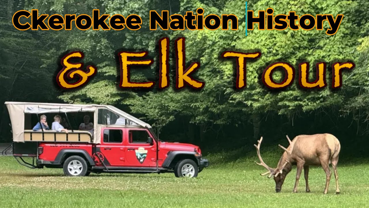 This Elk Tour in The Smokies is Insane