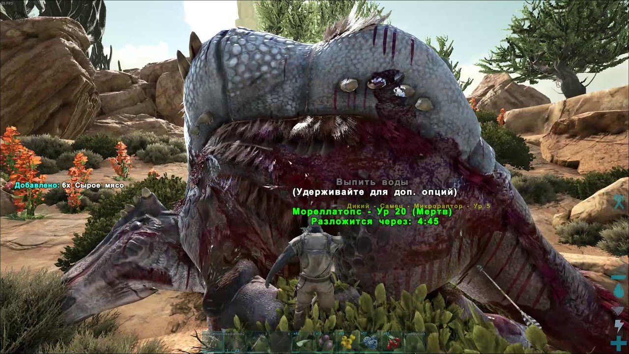 TyPuCT ►ARK (#1 Начало)