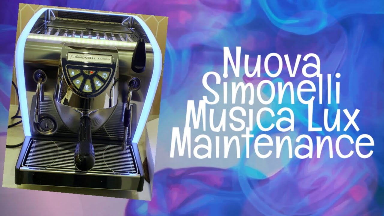 Musica Lux Annual Maintenance 