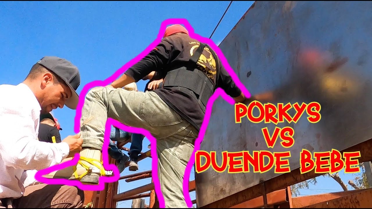 MY BULLS KNOCK OUT MY BROTHER'S TEETH || CHITIN VENEGAS