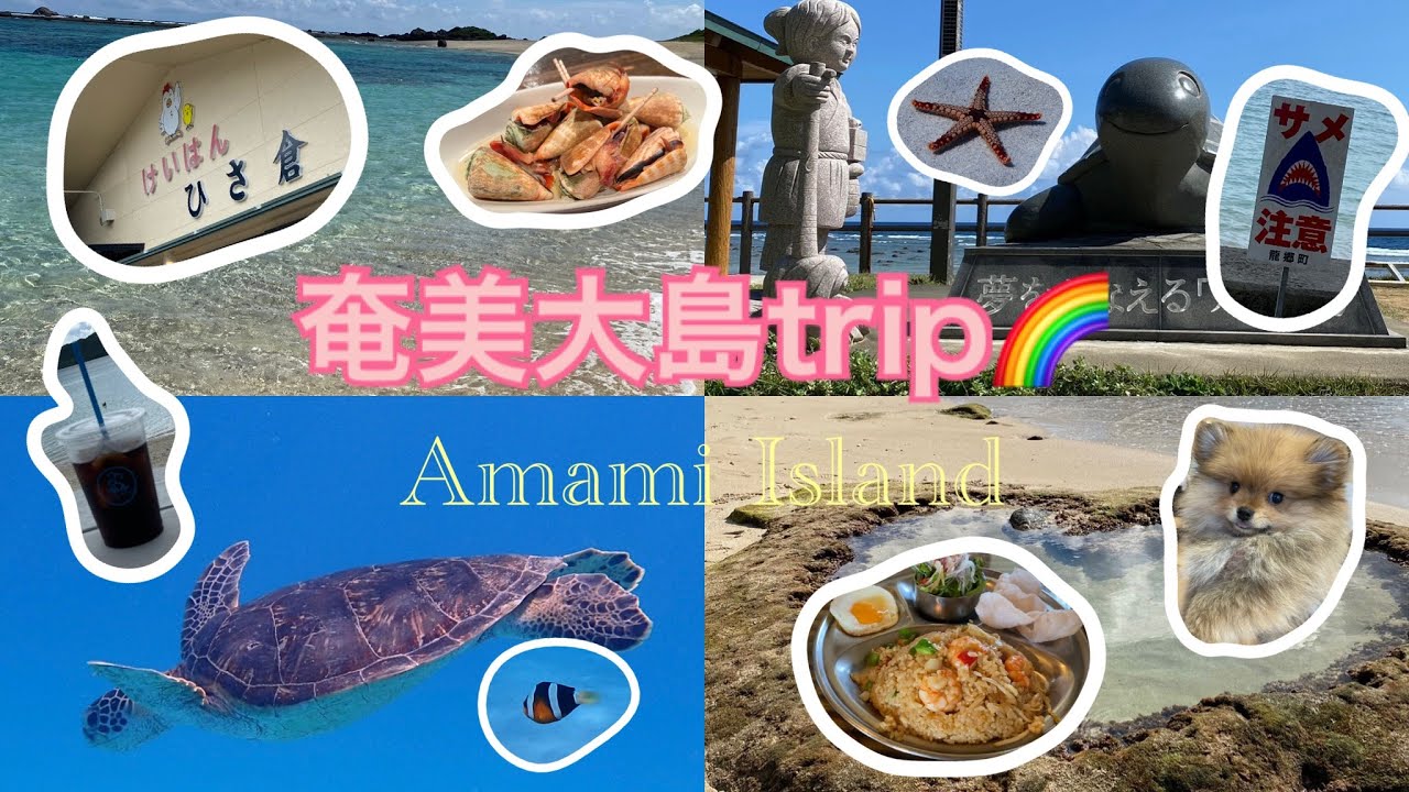 初めての奄美大島2泊3日女子旅👙💖奄美グルメを堪能してのんびり観光🌈😇ホテルカレッタ/シュノーケリング/奄美のお土産購入品🛍️
