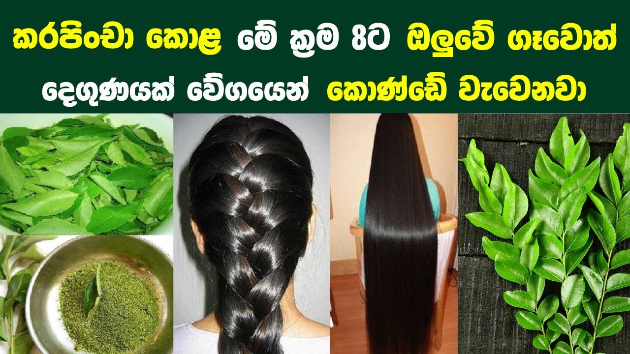 කරපිංචා කොළ මේ ක්‍රම 8ට ඔලුවේ ගෑවොත් දෙගුණයක් වේගයෙන් කොණ්ඩේ වැවෙනවා