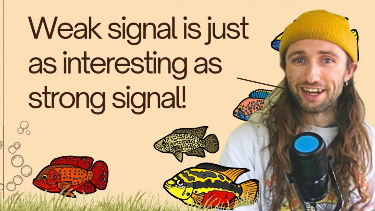 Phylogenetic Signal Made EASY: 3 Examples, Simple Interpretations, and Core Theory