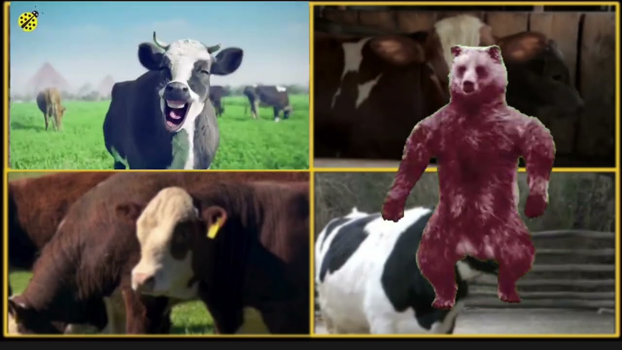 Funny Cows VS Funny Buffalo VS Funny Buls VS Tiles Hop EDM Rush