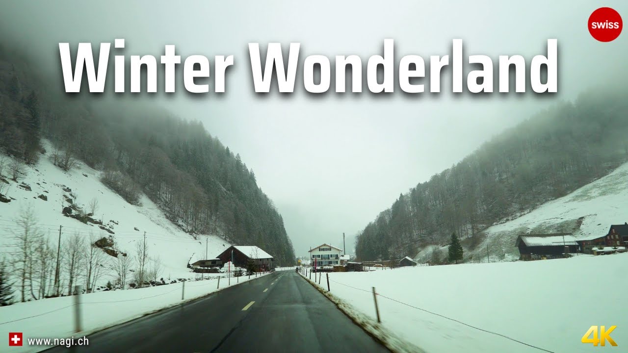 ❄️ Thick and Heavy Snow in Switzerland Winter Wonderland | Swiss Snowfall | #swiss #swissview
