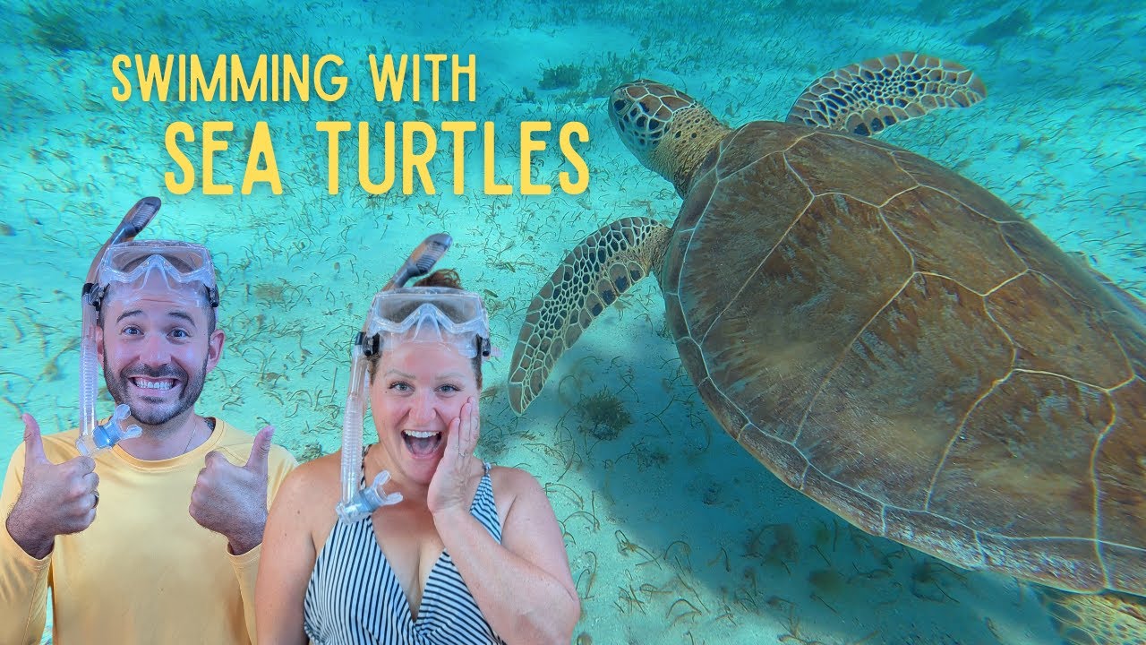 Underwater Wonders & Beach BBQ Lobster! Tobago Cays Blew Our Minds🐢