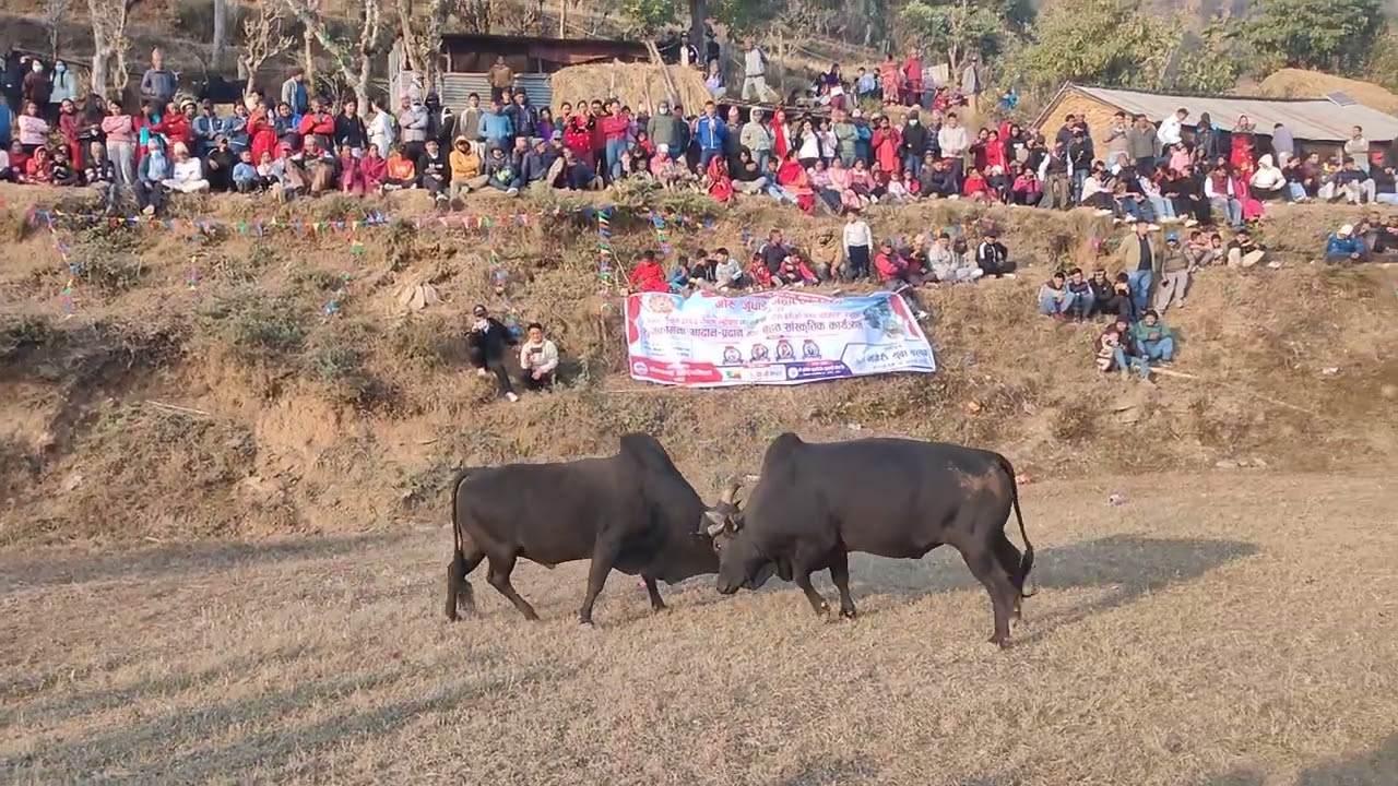 Bishu shoan dhading hero