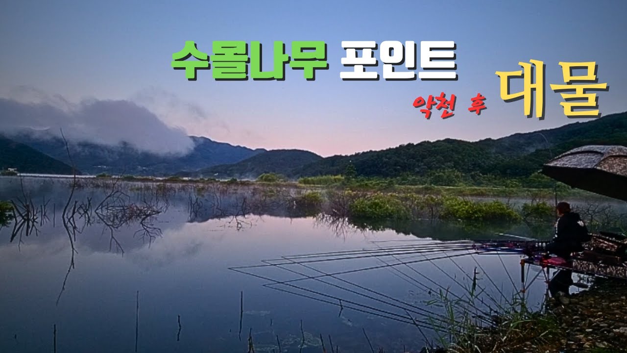 붕어낚시꾼 나래붕어 비바람 몰아쳐도 강행! 악천후 대물/수몰나무포인트