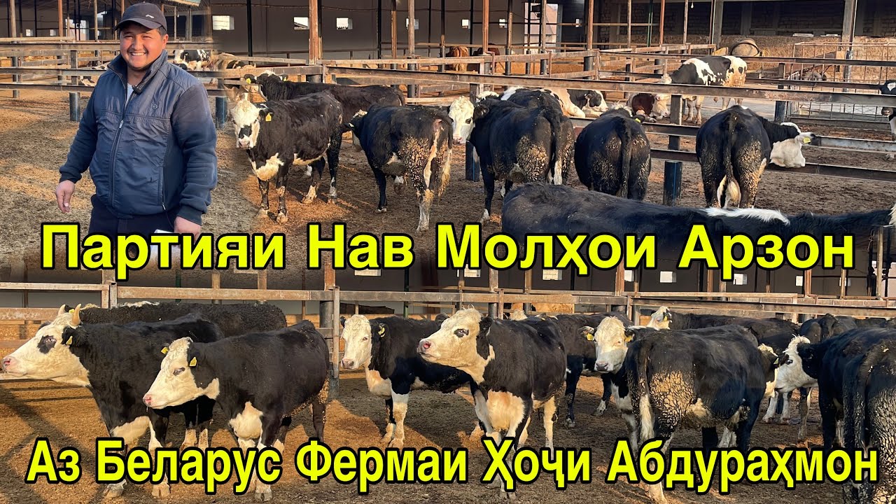 ПАРТИЯИ НАВ АЗ БЕЛАРУС ФЕРМАИ ҲОҶИ ИНОМ ҲОҶИ АБДУРАҲМОН 25 ноября 2025 г.