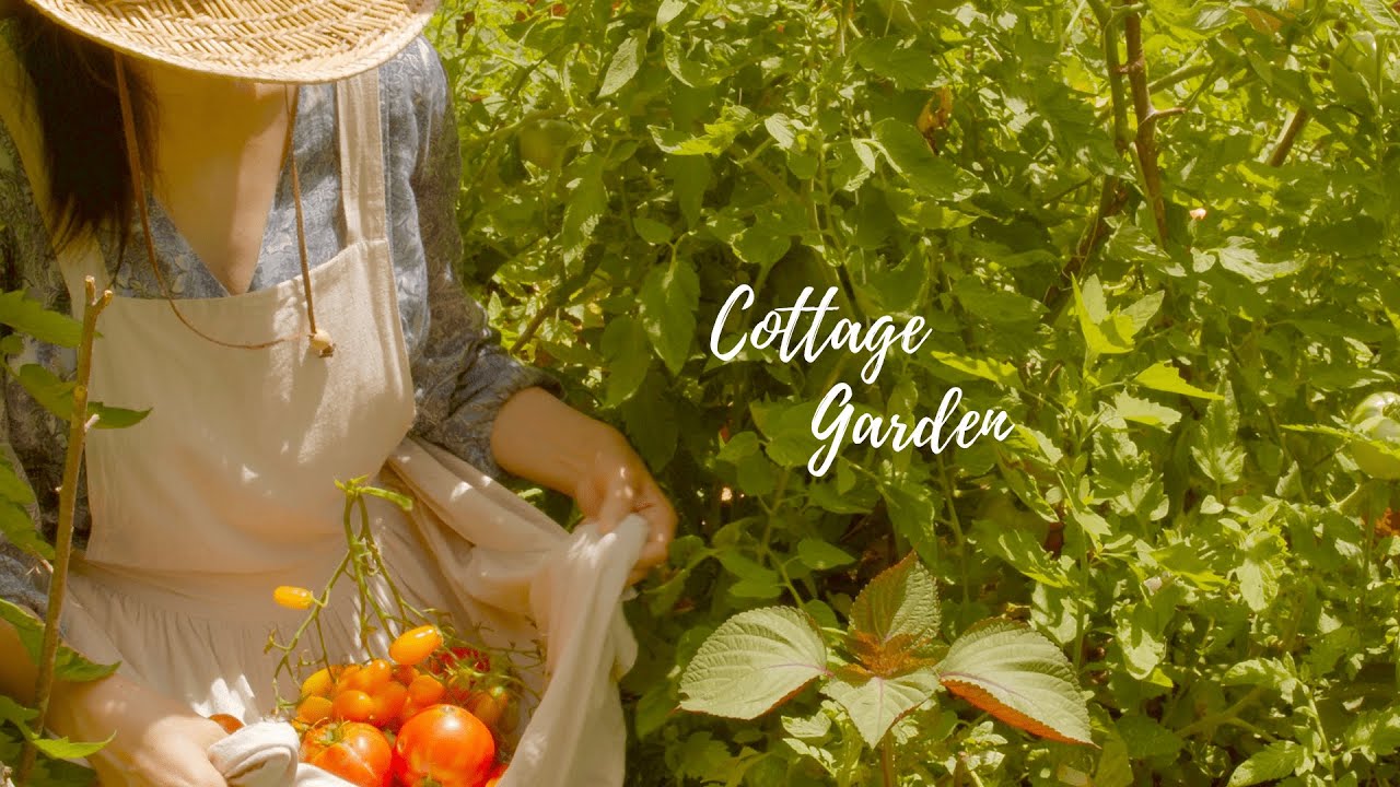 Сад помидоров в джунглях🍅 Добро пожаловать в лесной ресторан🌿 Кошки, собаки и куры