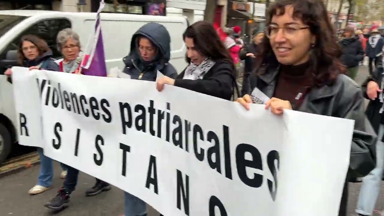 MANIF 29 NOV 25 A PARIS