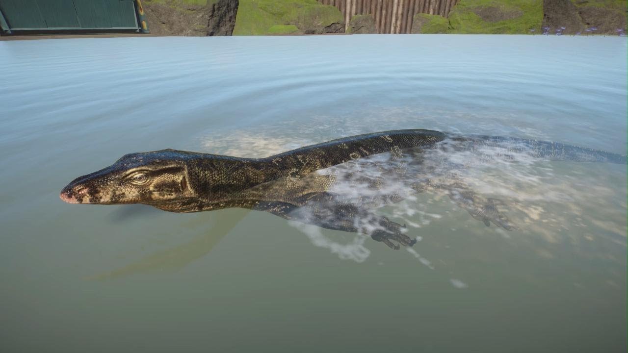 Planet Zoo Tropical Pack: Asian Water Monitor
