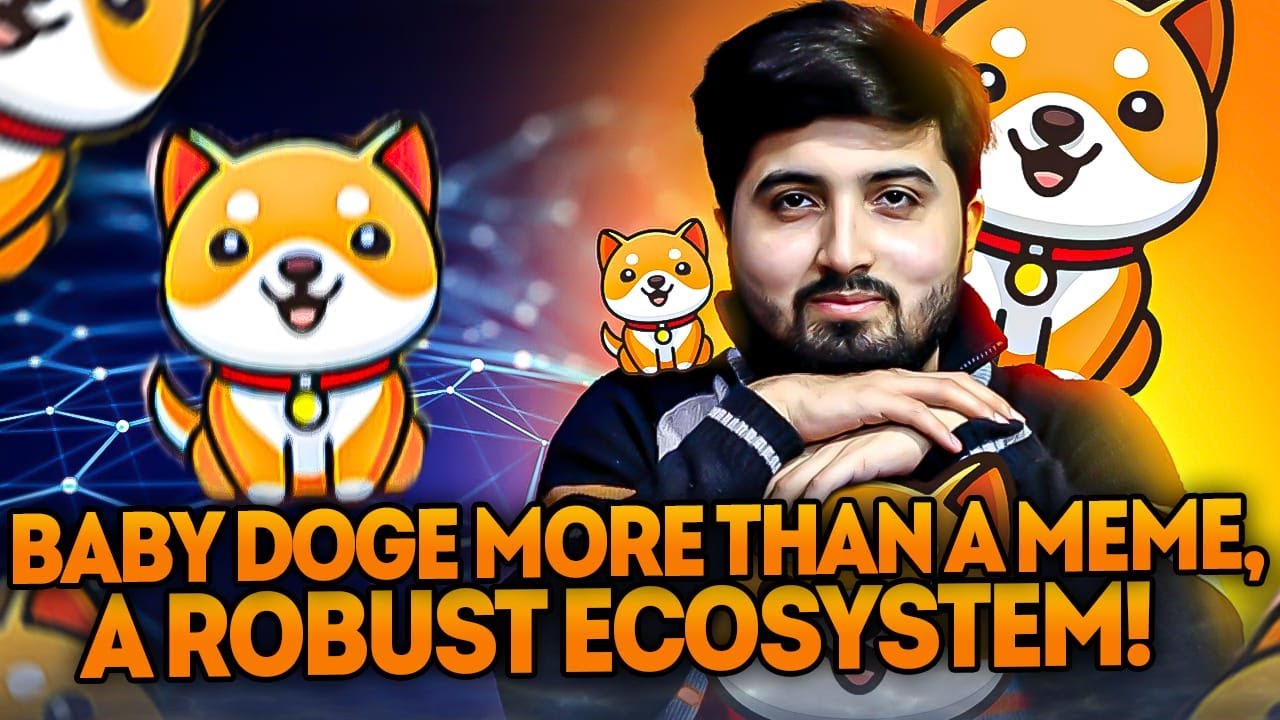 Baby Doge More Than a Meme, a Robust Ecosystem!