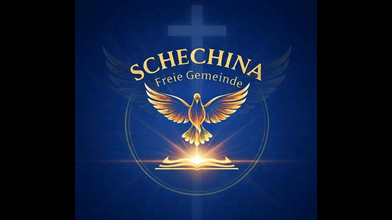 Шехина 14.02.26. 