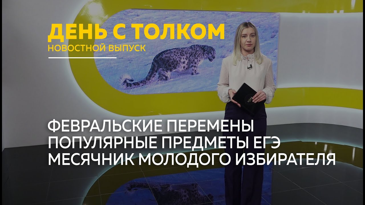День с Толком 02.02.2026