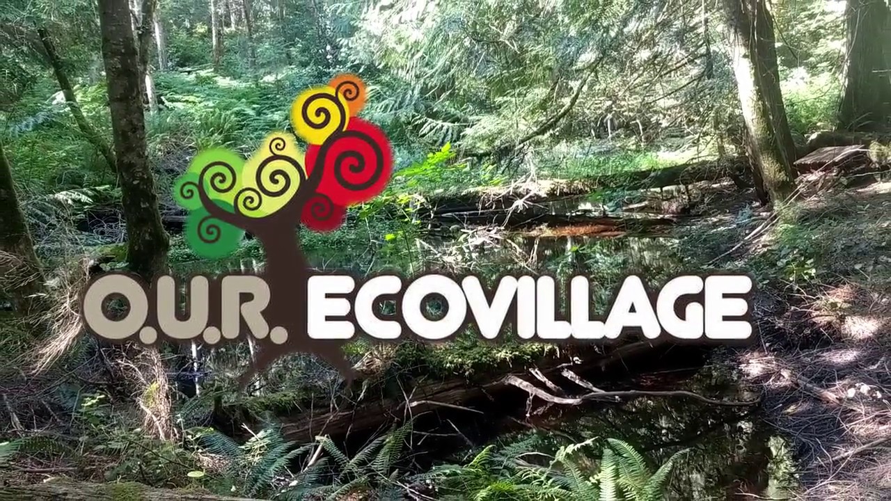 A DAY IN THE LIFE OF AN ECOVILLAGER