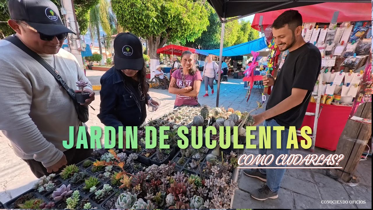 JARDIN DE SUCULENTAS ¿COMO CUIDARLAS?