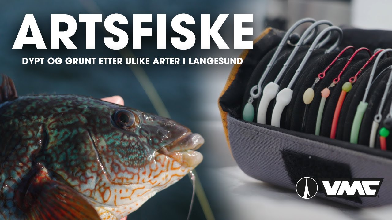 Artsfiske - Grunt og dypt etter ulike arter i Langesunde - Tips & Triks!