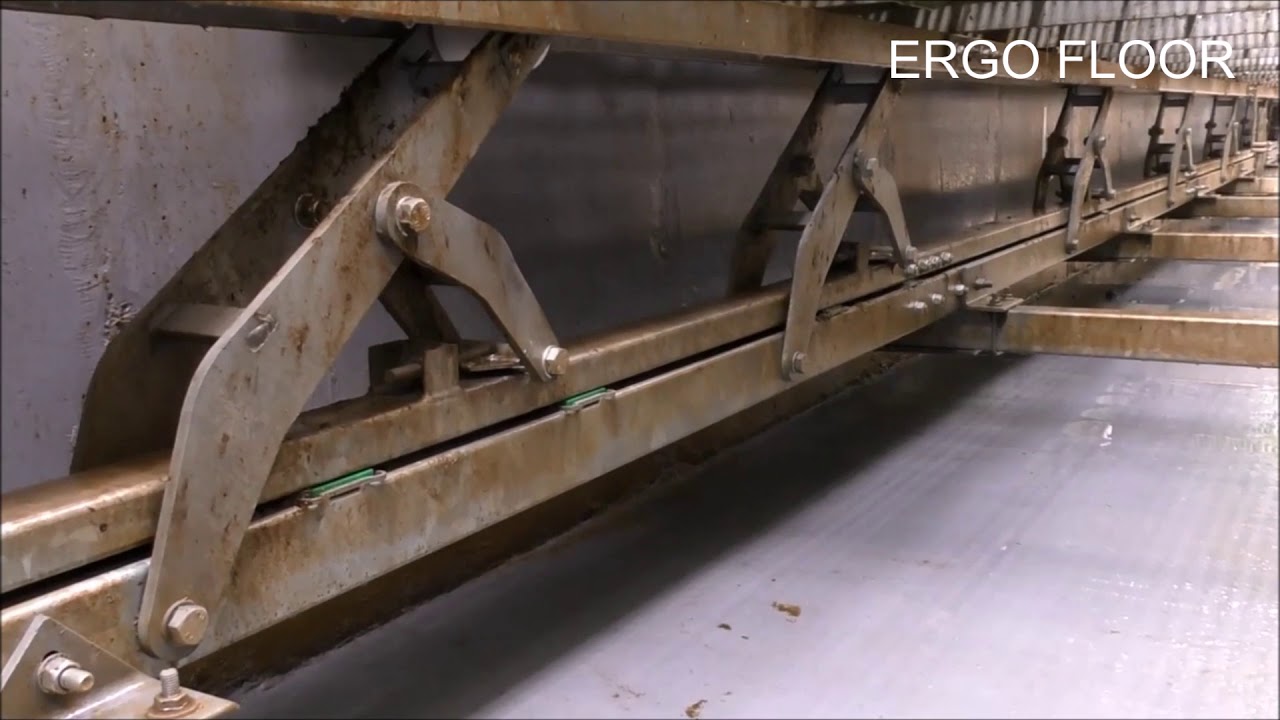 Ergo Floor beweegbare putvloer- Adjustable milking pit floor - Einstallbarere Melkgrubenboden