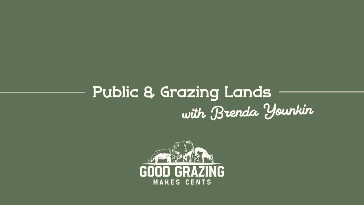 Public & Grazing Lands: A Conversation with Brenda Younkin