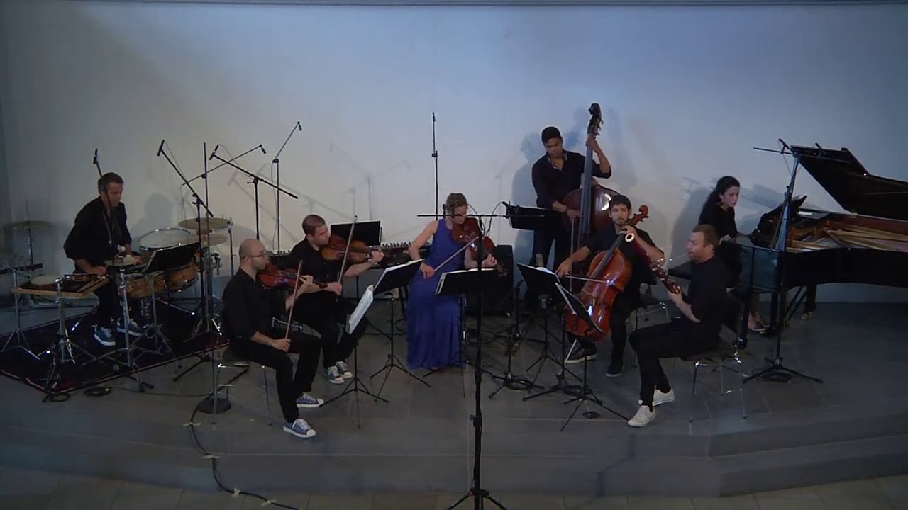 Daniel Schnyder   Concert for bassoon and orchestra - first chambermusic version recorded