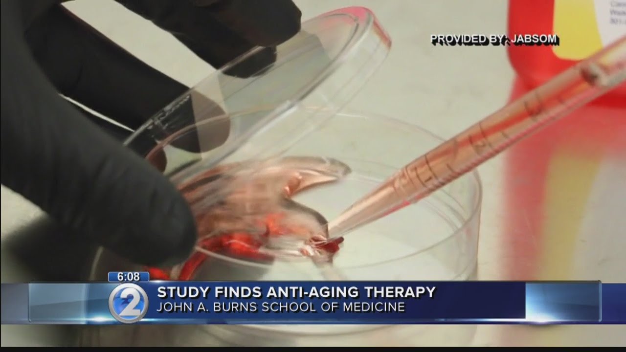 Activation of &lsquo;longevity gene&rsquo; could lead to promising anti-aging therapy