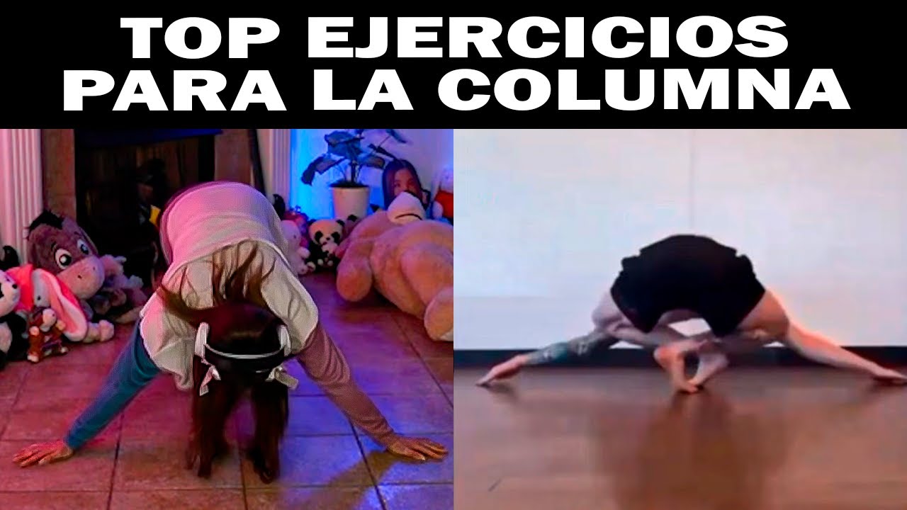 Ejercicios SIMPLES  para la columna 💀 – Staryuuki