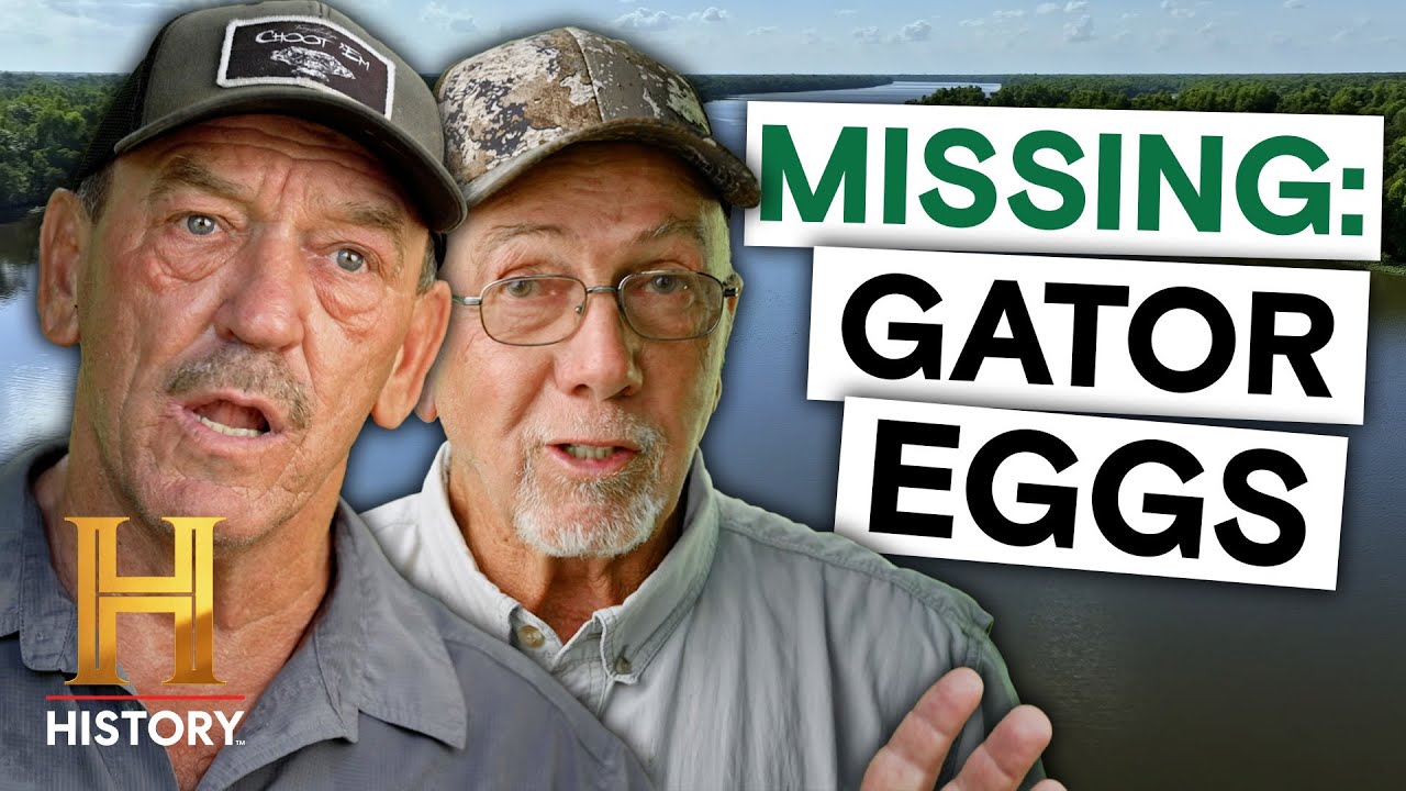 Why Are Alligators Vanishing from the Swamp? | Swamp Mysteries (Season 3) | History
