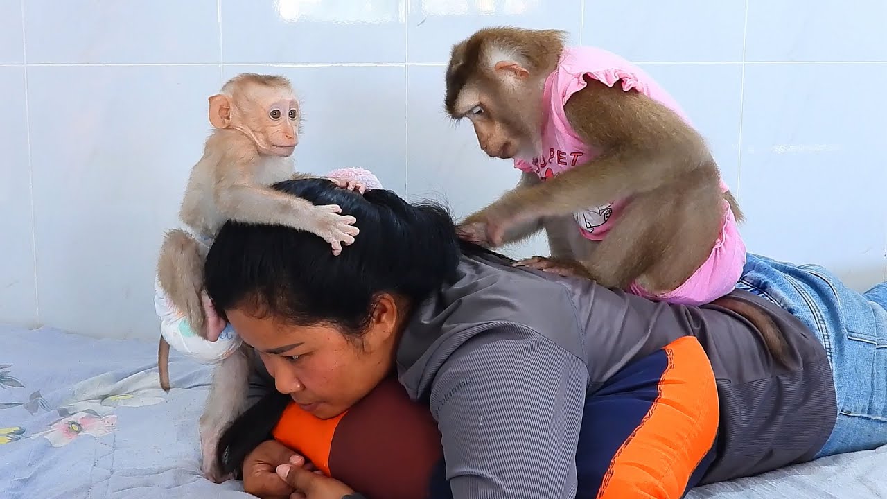 Baby Luka Happy Playing And Grooming Grandma With Mommy Luna