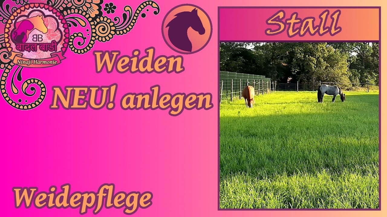 [STALL] Weiden NEU! anlegen *Weidepflege