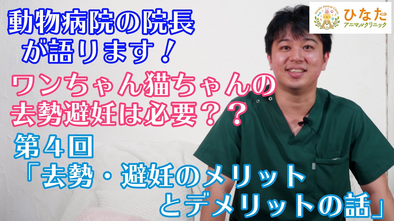 第4回「避妊去勢手術のメリット・デメリット」
