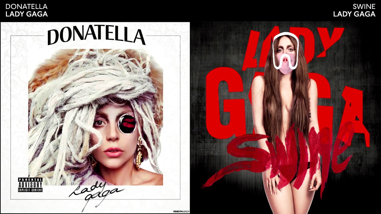 DONATELLA SWINE - Lady Gaga Mashup