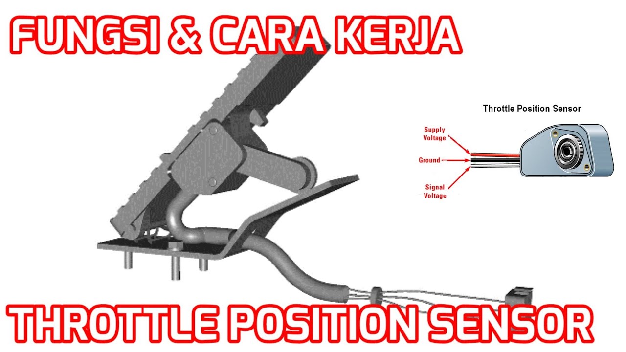 FUNGSI DAN CARA KERJA THROTTLE POSITION SENSOR (TPS)