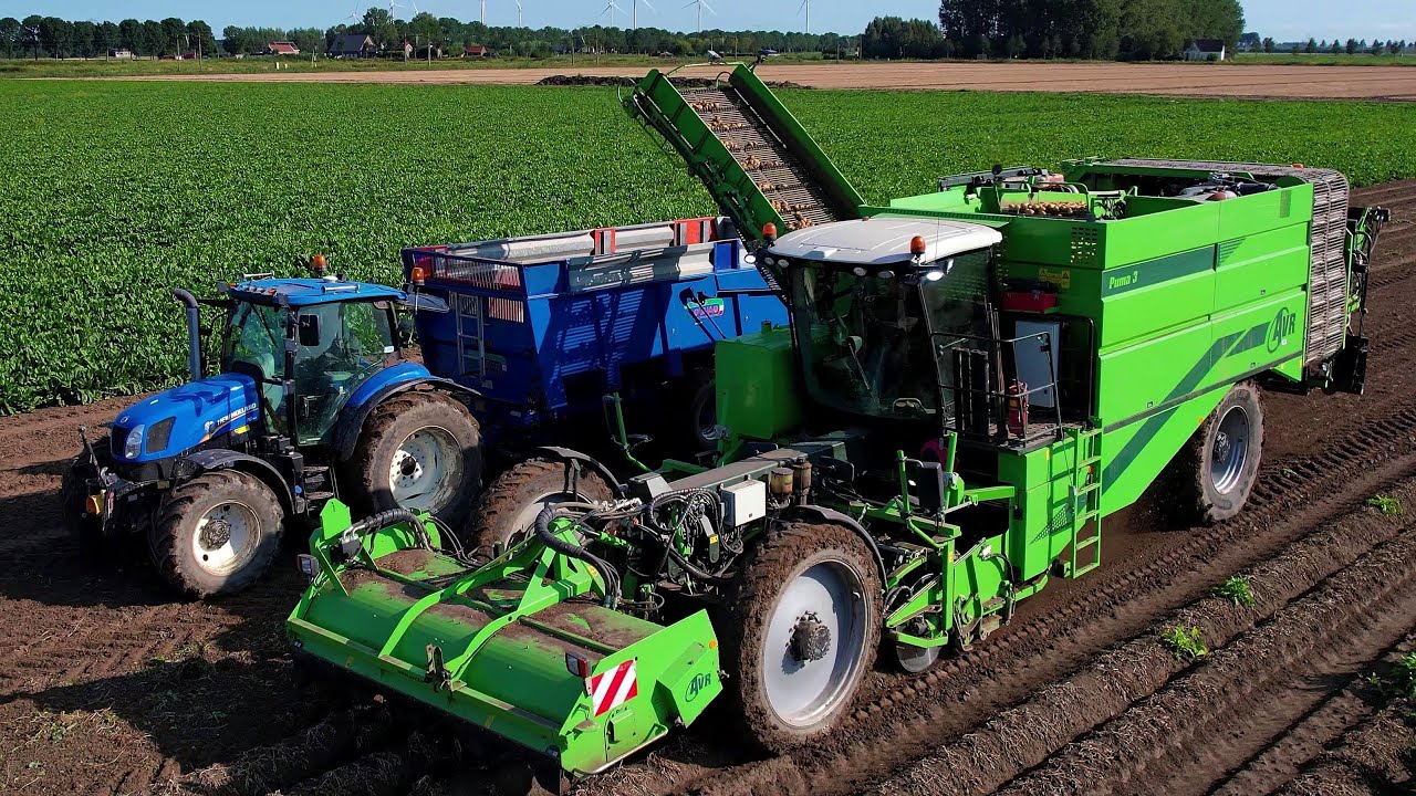Aardappels rooien | Potato harvest | AVR Puma | New Holland | Vaia | Kartoffeln roden | Oogst 2024
