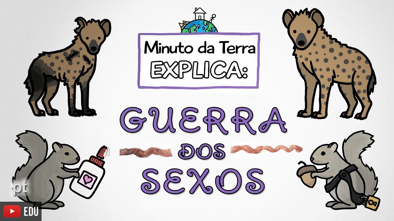 Minuto da Terra explica: GUERRA DOS SEXOS!