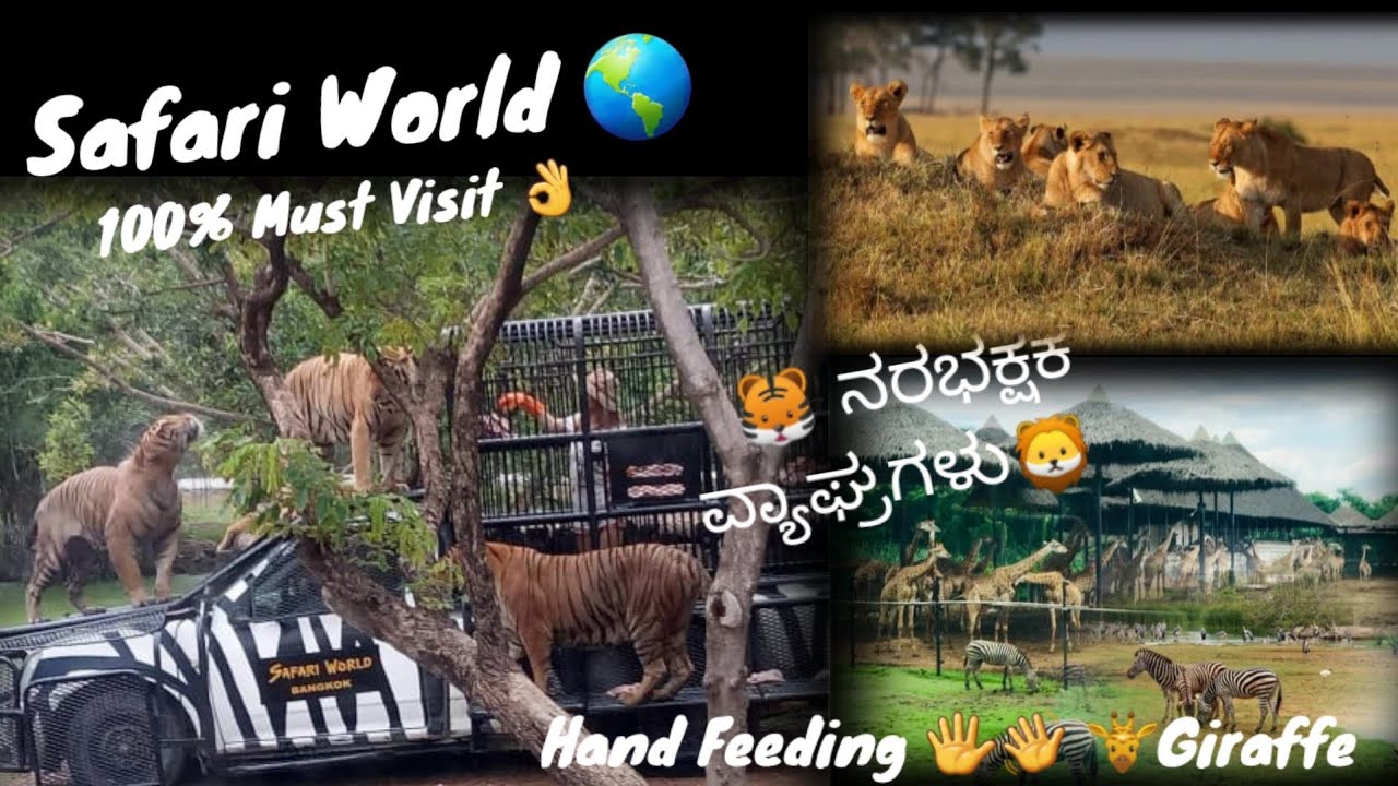 Safari World 🌎 Thailand trip with my mom,Part-1/gang of Tigers,Pride of Lions