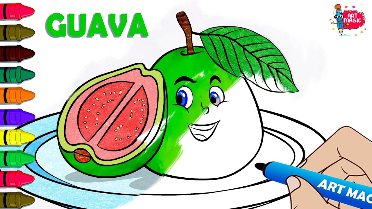 How to Draw a Guava | Step-by-Step Fruits Drawing Tutorial