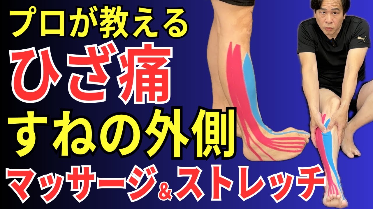 【ひざ痛】すねの外側が重ダルい 前脛骨筋のマッサージ  |  大阪市都島区 さかとう整骨院#062
