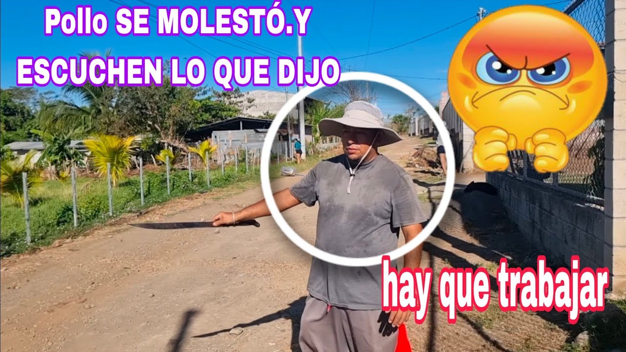 ESCUCHEN LO QUE DIJO POLLO.😱 AQUÍ TODOS TENEMOS QUE TRABAJAR😡