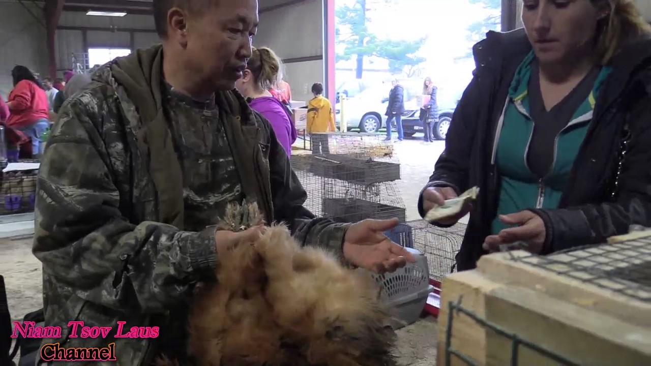 Fox Valley Rc Small Animal & Poultry Swap Meet April 15,2017